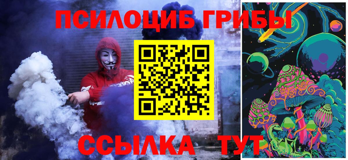 Галлюциногенные грибы Psilocybe Сургут