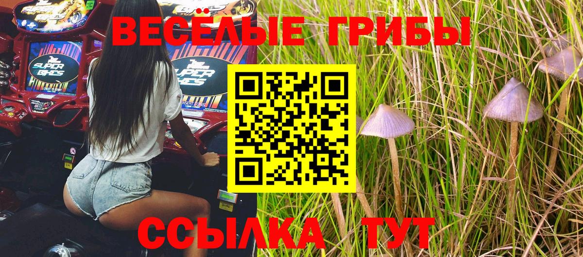 Псилоцибиновые грибы MAGIC MUSHROOMS  Вход с VPN  Сургут  Псилоцибиновые грибы Magic Shrooms 