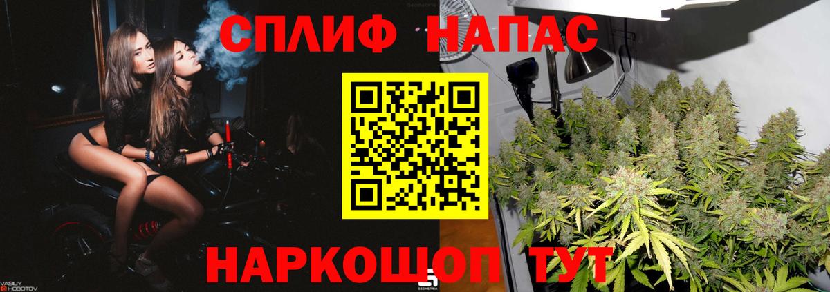 Конопля MAZAR  Вход с VPN  МАРИХУАНА марихуана  Сургут  Бошки марихуана марихуана 